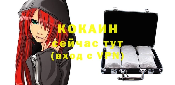 СК Кукмор