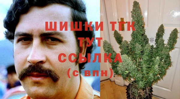 молекула духа Кулебаки