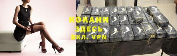 молекула духа Кулебаки
