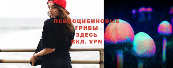 молекула духа Кулебаки
