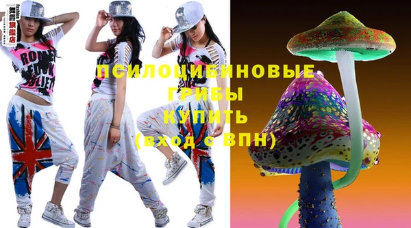 СК Кукмор