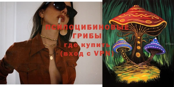 молекула духа Кулебаки