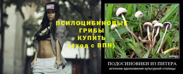 СК Кукмор