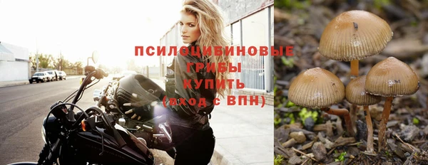 молекула духа Кулебаки