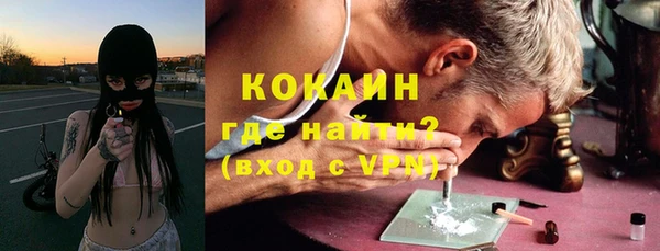молекула духа Кулебаки