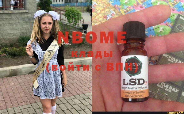 молекула духа Кулебаки
