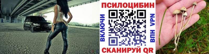 Купить где  Беслан  Псилоцибиновые грибы прущие грибы 